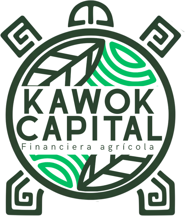Kawok Capital